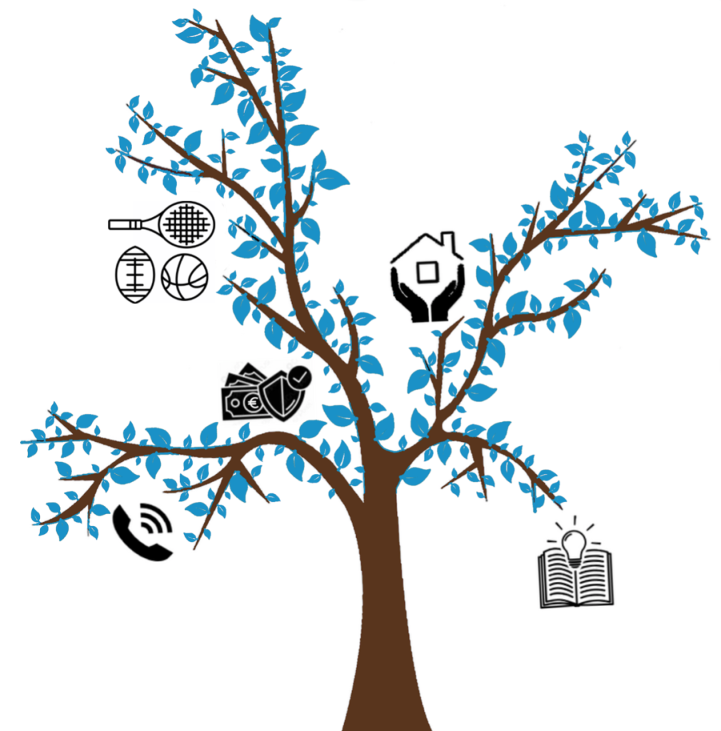 arbre amateur sports extremes