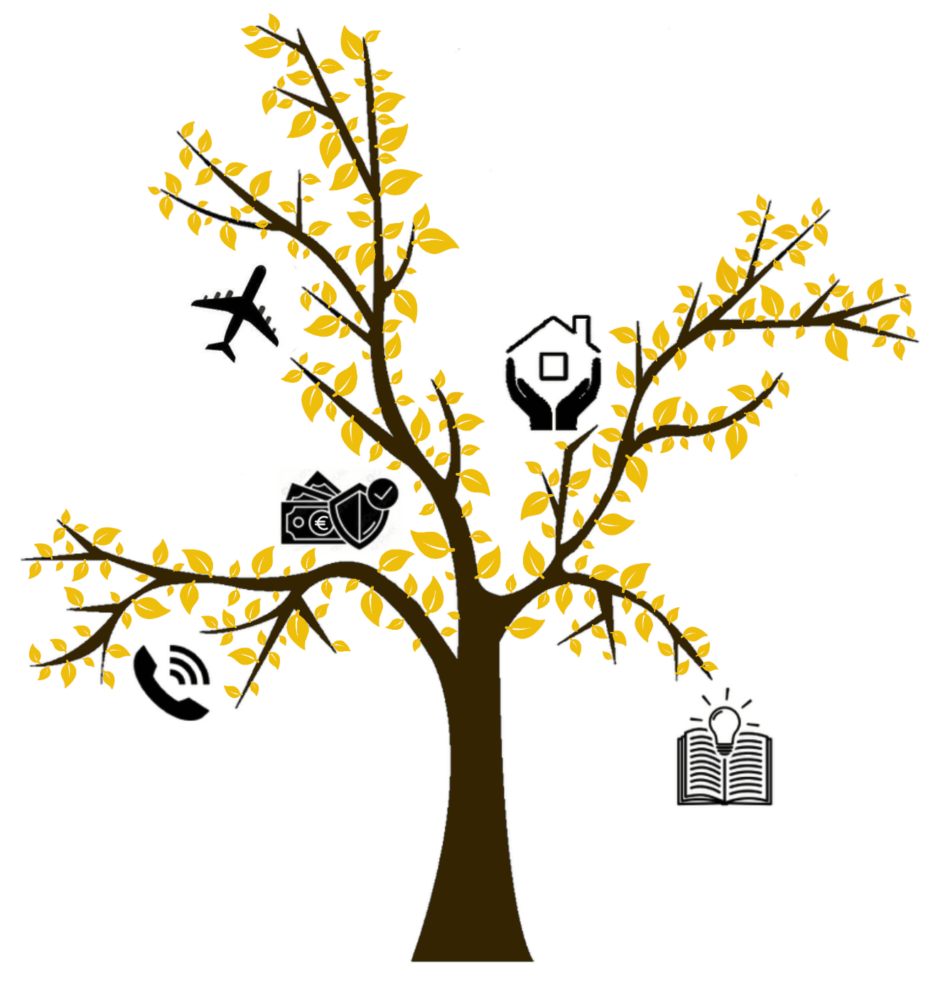 arbre capitaux eleves