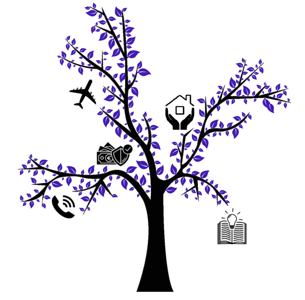 arbre senior 1