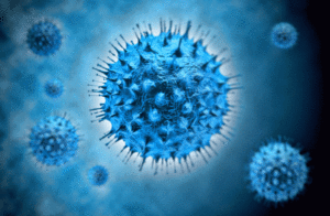 maladies infectieuses