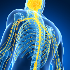 maladies neurologiques