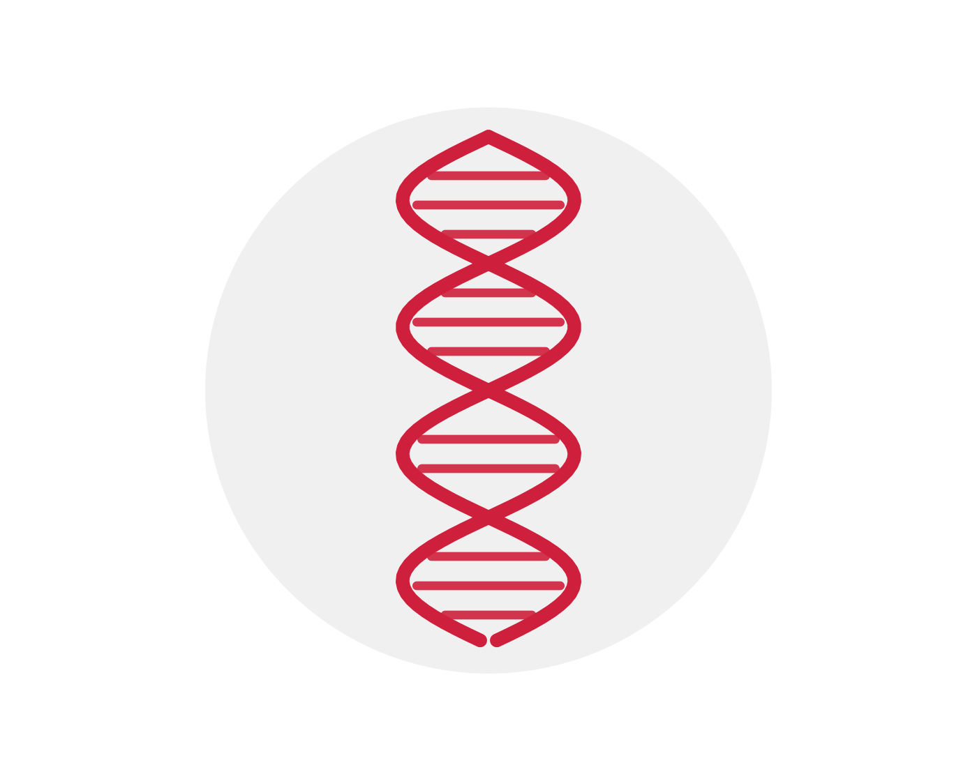 illu genetique
