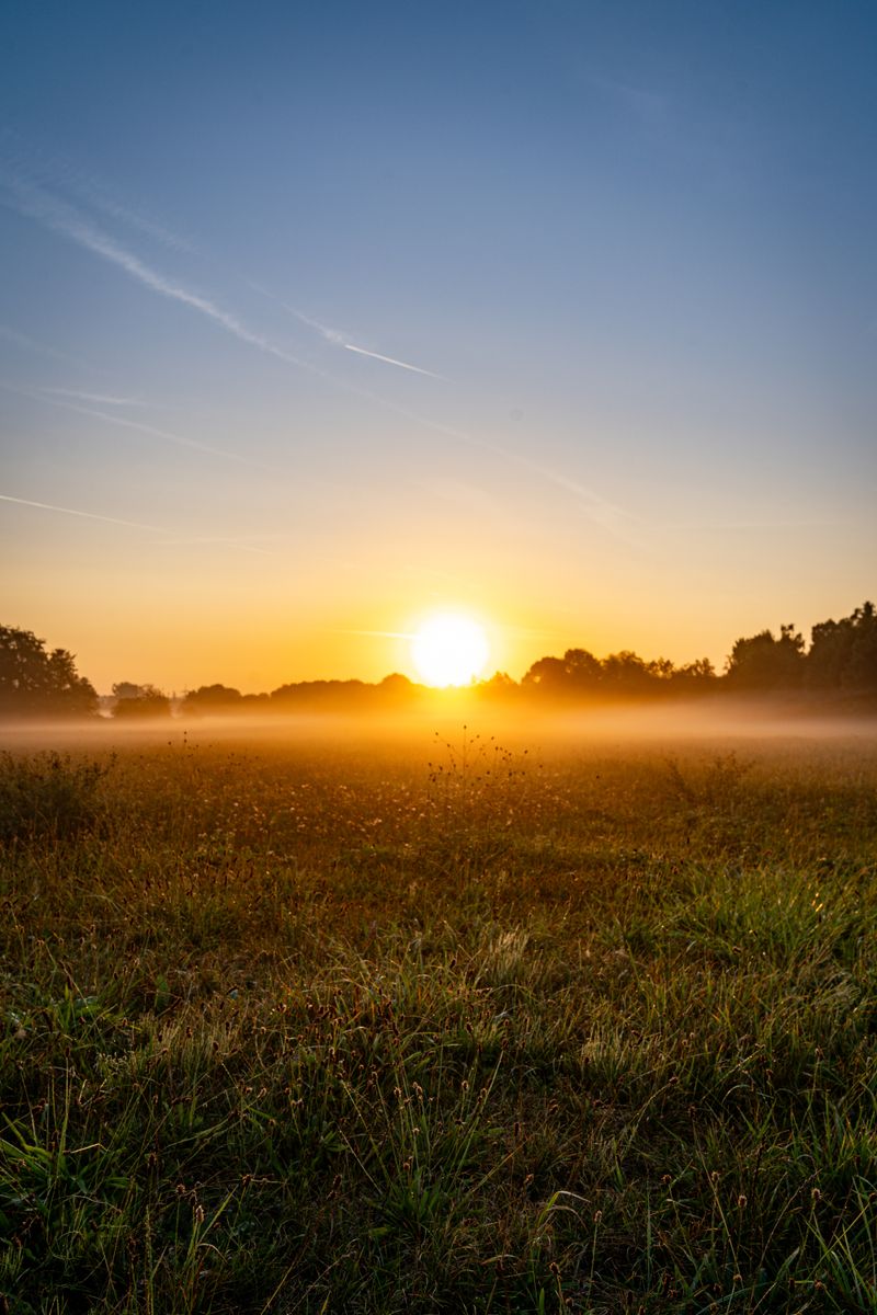 Lever de soleil sur une prairie paisible, symbole d'un nouveau départ