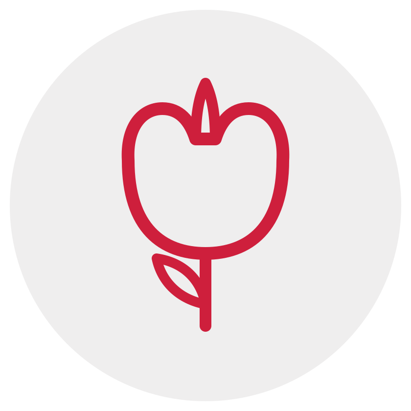 tulipe parkinson assurance